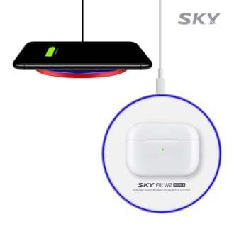 ��ī�� SKY-W2P �� W2P ���̾� �÷��� 15W ���� ���� �����е� SKY-W2P